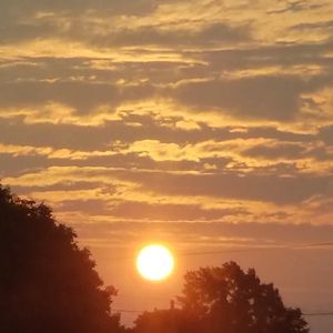 Meet your Posher, Carter